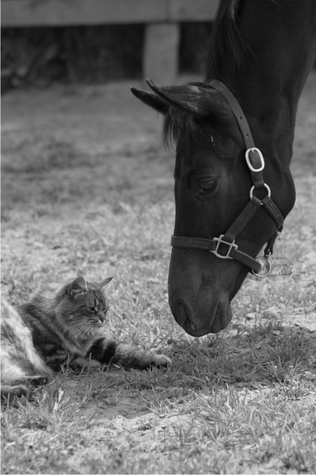 Photo by Jennifer Clarke