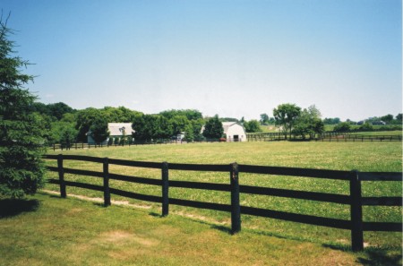 Paddocks and barns