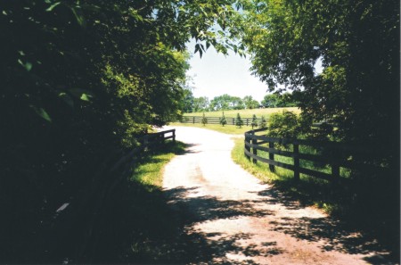 The road to the back paddocks